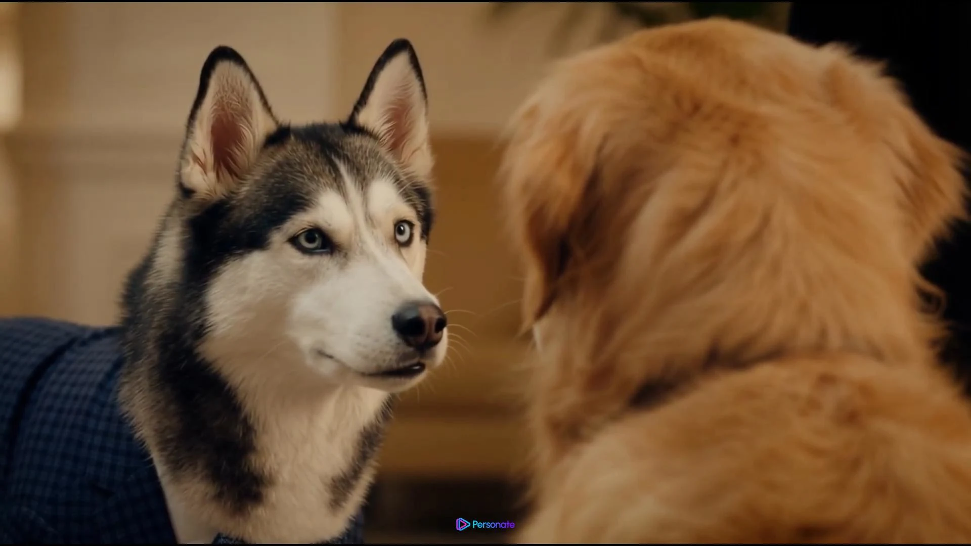 Industrial Factory Documentary